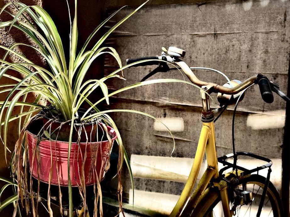 Maya Rhome Trastevere Roma Ngoại thất bức ảnh